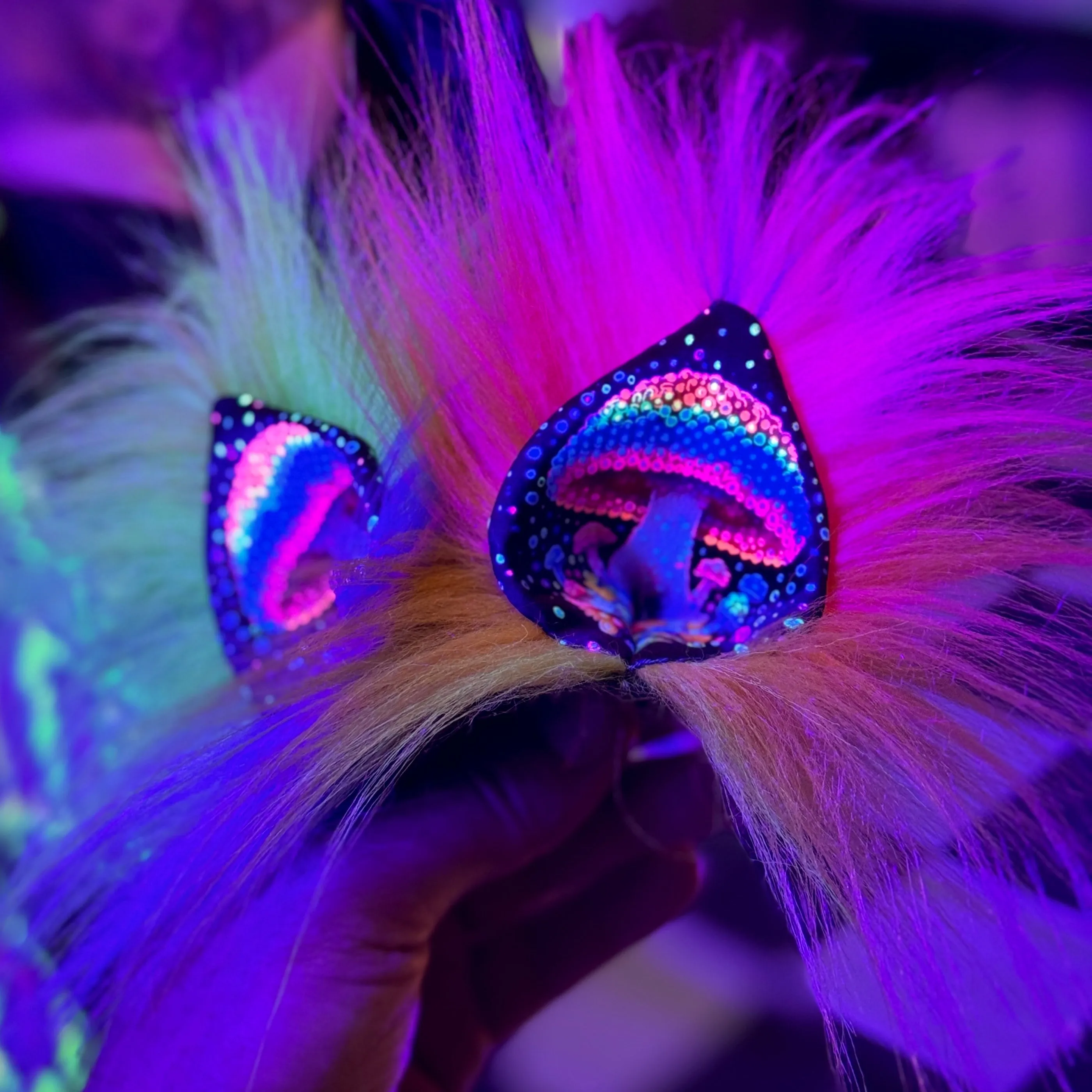 I Want Kandy